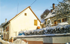 Pet Friendly Home In Natzwiller With Kitchen
